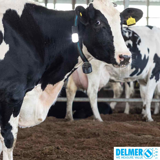 Del Dairy Herd Management Software