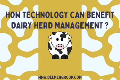 How technology can benefit dairy herd management?