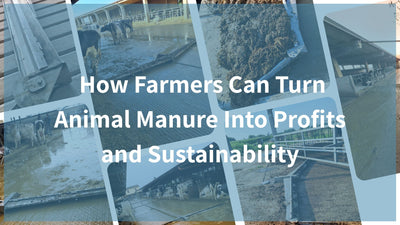 How Farmers Can Turn Animal Manure Into Profits and Sustainability