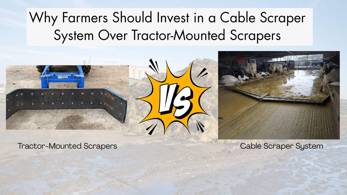 Why Every Dairy Farmer Should Invest in a Cable Scraper System Instead