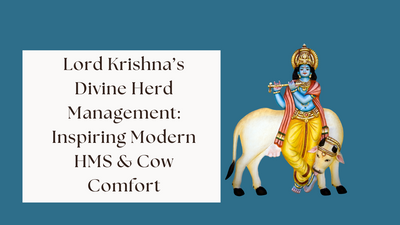 Lord Krishna’s Divine Herd  Management: Inspiring  Modern HMS & Cow Comfort