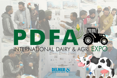 Delmer Group Steals The Spotlight At The PDFA Exhibition