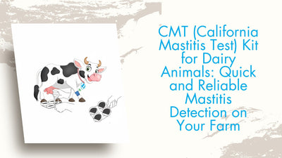 CMT (California Mastitis Test) Kit for Dairy Animals: Quick and Reliable Mastitis Detection on Your Farm