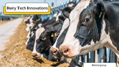 Dairy Tech Innovations