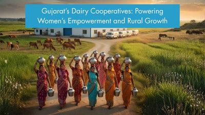 Gujarat’s Dairy Cooperatives: Powering Women’s Empowerment and Rural Growth