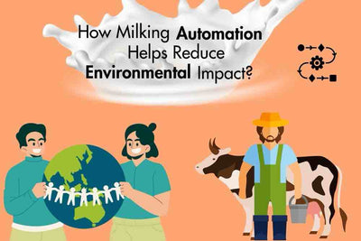 How Automation Increases Dairy Farm Profitability?