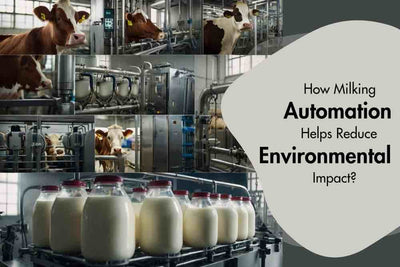 How Milking Automation Helps Reduce Environmental Impact?