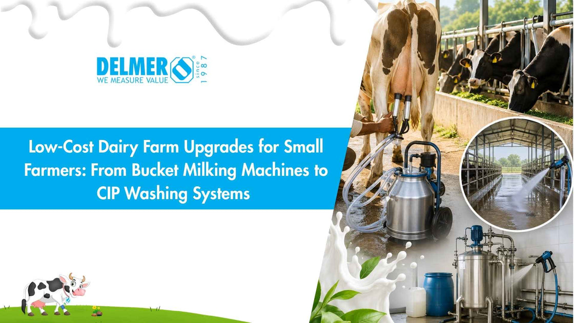 Low-Cost Dairy Farm Upgrades for Small Farmers: From Bucket Milking Ma ...