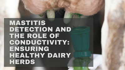 Mastitis Detection and the Role of Conductivity: Ensuring Healthy Dairy Herds