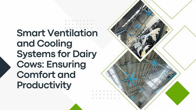 Smart Ventilation and Cooling Systems for Dairy Cows: Ensuring Comfort and Productivity