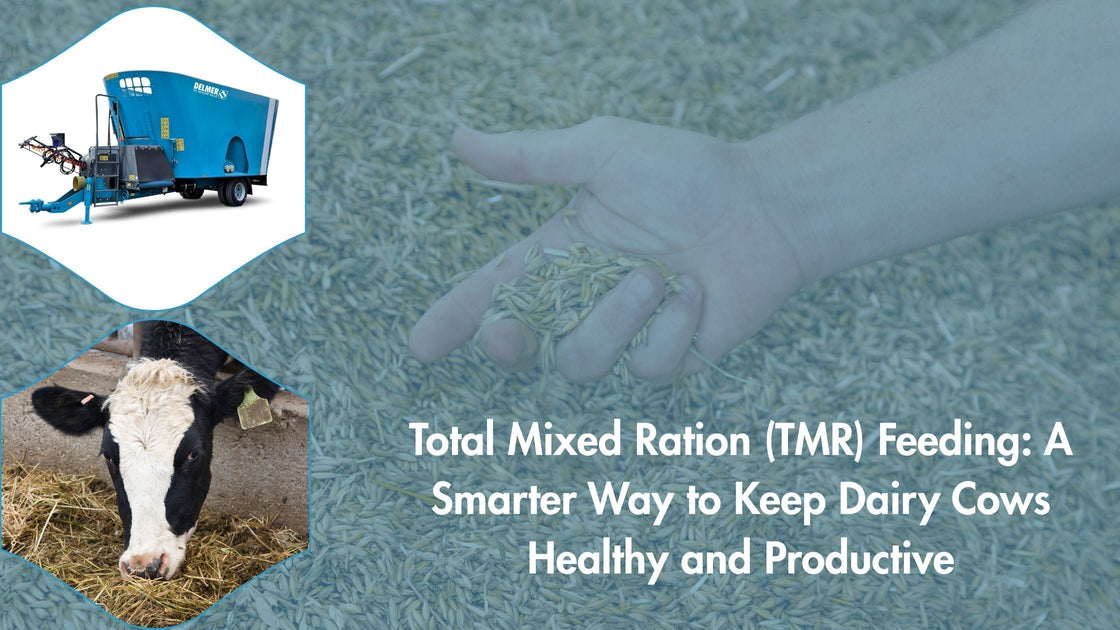 Dairy Ration Total Mixed Ration (TMR) Feeding – Delmer Group