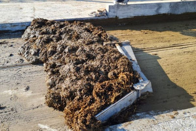 Revolutionizing Stable Cleaning: Delmer's State-of-the-Art Scrapers