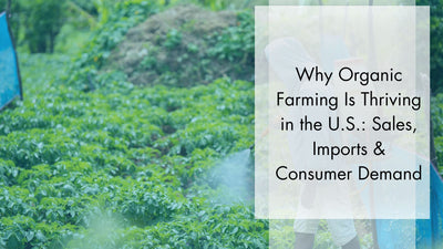 Why Organic Farming Is Thriving in the U.S.: Sales, Imports & Consumer Demand