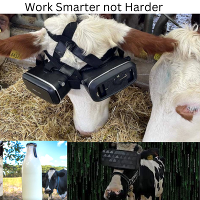 Maximizar la producción de leche: cascos de realidad virtual para vacas