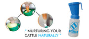 DELMER Pre Teat Dip Solution for Cows,Buffaloes,Camels & Goats