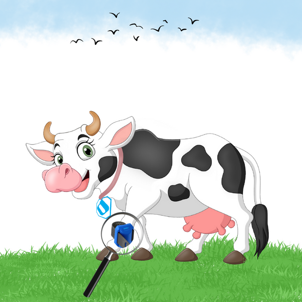 Cow Monitoring Systems | Delmer Group
