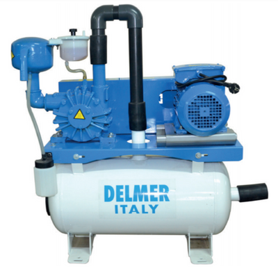 Delmer Oil Vacuum Pump For Milking Parlour - Delmer Group