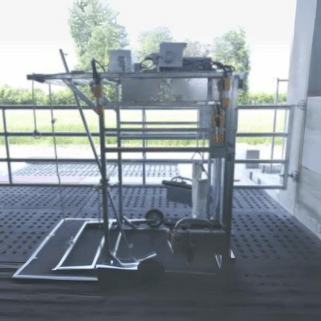 Multi-Functional Hoof Trimming Chute: Perfect for Cows, Buffaloes, Horses, DA, AI, and PG Testing - Delmer Group