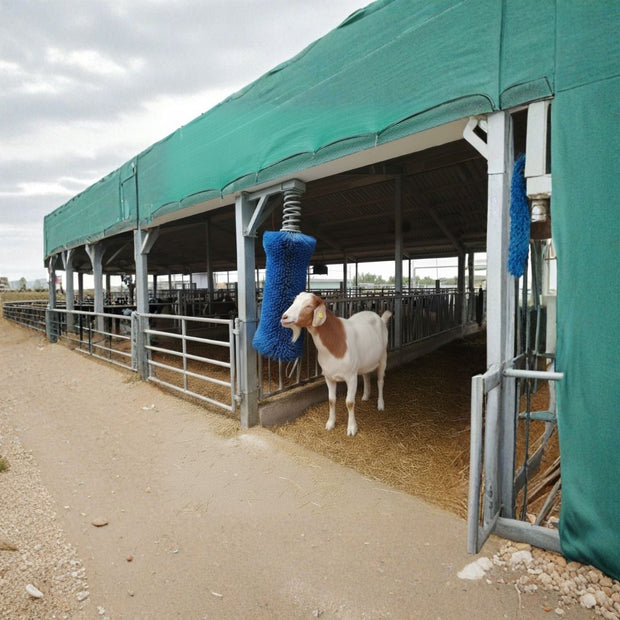 Delmer Cow Brush ( WallyAir series -Spring )