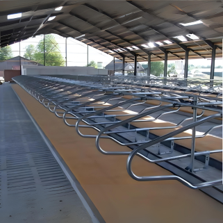 Cow Cubicles: Space-Saving Free Stall System - Delmer Group