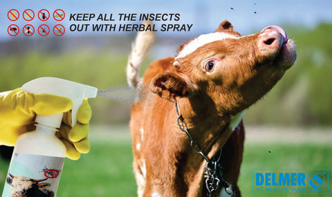 Delmer's Fly Repellents for Cattles - Delmer Group