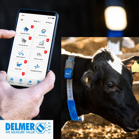 Del Dairy Herd Management Software – Delmer Group