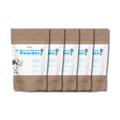 Del Mineral Mixture Powder (Pack of 5) - Delmer Group