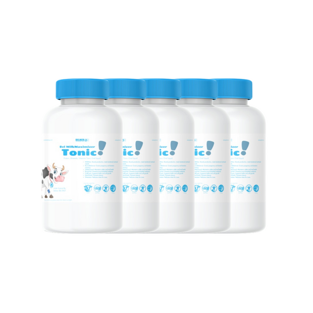 Del Protein, Minerals, Vitamins Tonic Oral Liquid (Pack of 5) - Delmer Group
