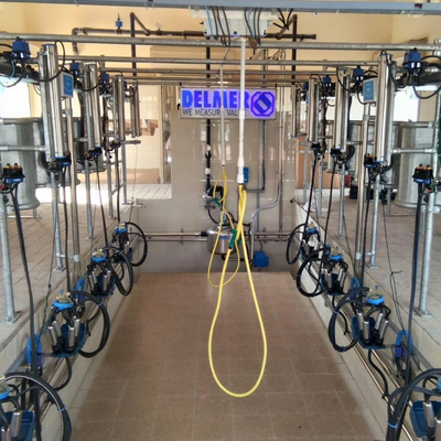 Delmer Herringbone milking system