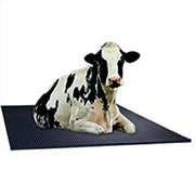 DELMER Cow Comfort (EVA) Cow Mats - Superior Protection, Insulation, and Comfort Delmer Group
