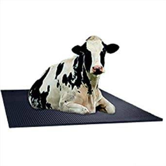 DELMER Cow Comfort (EVA) Cow Mats - Superior Protection, Insulation, and Comfort - Delmer Group