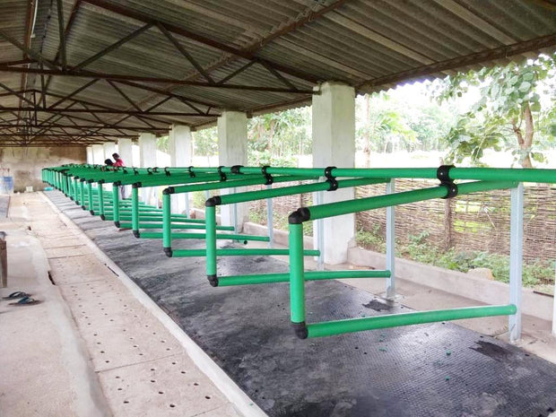 DelFlex. Flexible Cubicle system for Livestock ( Cows & Buffaloes ) Delmer Group