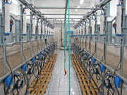  milking system - front view