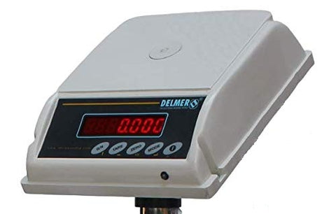 Delmer Platform Scale with MS Chequred Plate Delmer Group