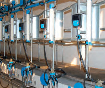  milking system in row